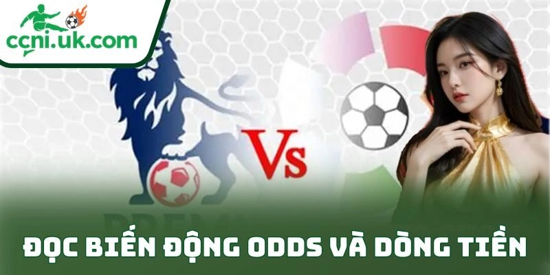 Bí Quyết Cá Cược Kèo Epl Hiệu Quả Giúp Bet Thủ Thắng 2 Đọc biến động odds và dòng tiền