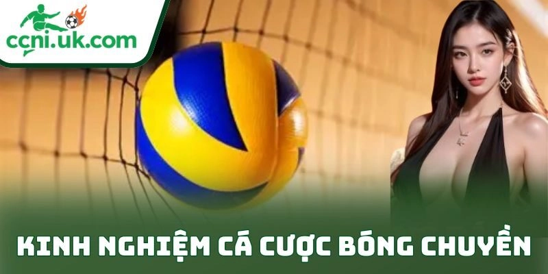 Kinh Nghiệm Cá Cược Bóng Chuyền Thực Chiến Cho Dân Chơi 10 Kinh Nghiệm Cá Cược Bóng Chuyền Thực Chiến Cho Dân Chơi