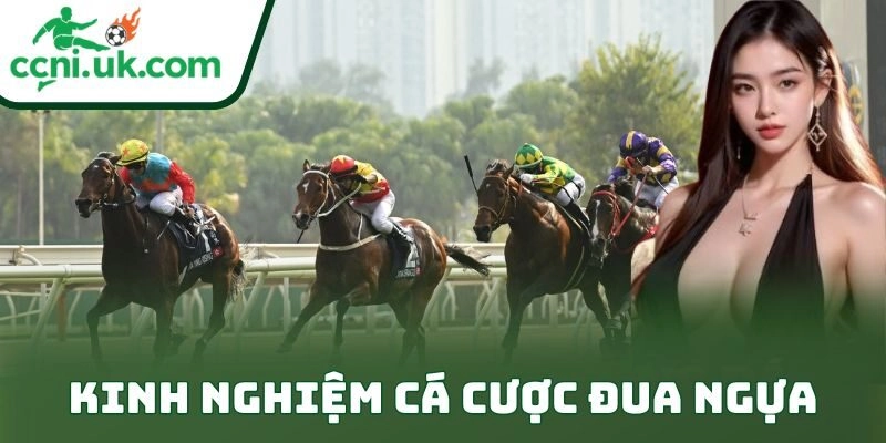 Kinh Nghiệm Cá Cược Đua Ngựa – Bí Quyết Thắng Kèo Đỉnh 9 Kinh Nghiệm Cá Cược Đua Ngựa – Bí Quyết Thắng Kèo Đỉnh