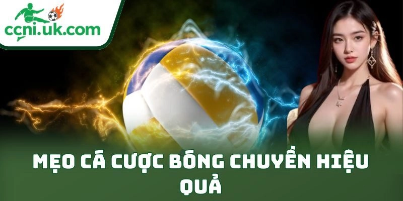 Mẹo Cá Cược Bóng Chuyền Hiệu Quả: Bí Kíp Thắng Đỉnh Cao 11 Mẹo Cá Cược Bóng Chuyền Hiệu Quả: Bí Kíp Thắng Đỉnh Cao