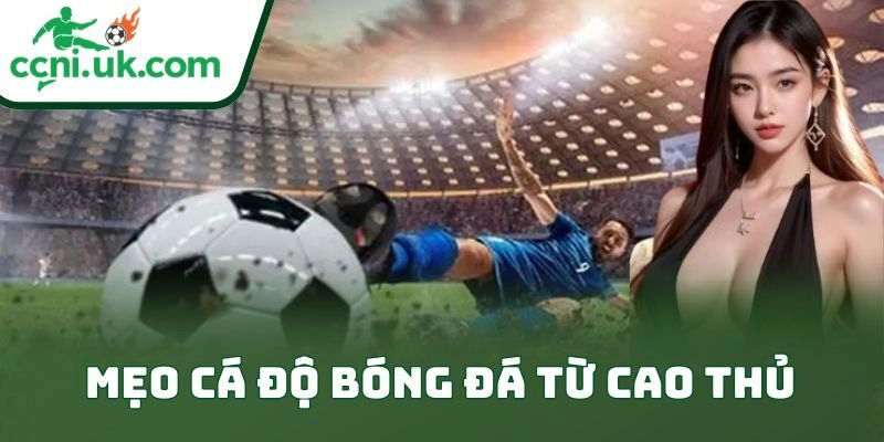 Mẹo Cá Độ Bóng Đá Từ Cao Thủ Giúp Anh Em Nghiền Kèo 12 Mẹo Cá Độ Bóng Đá Từ Cao Thủ Giúp Anh Em Nghiền Kèo