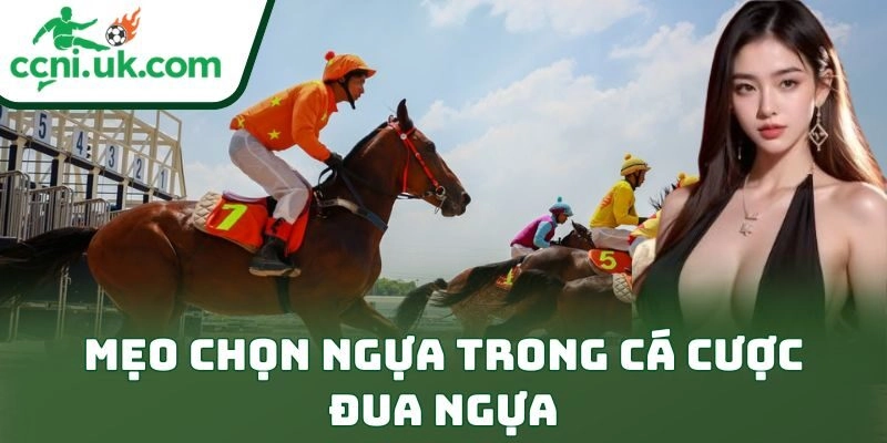 Mẹo Chọn Ngựa Trong Cá Cược Đua Ngựa Để Thắng Lớn 2 Mẹo Chọn Ngựa Trong Cá Cược Đua Ngựa Để Thắng Lớn