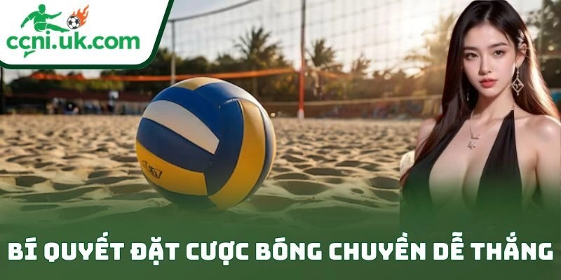 Bí Quyết Đặt Cược Bóng Chuyền Dễ Thắng Kịch Trần