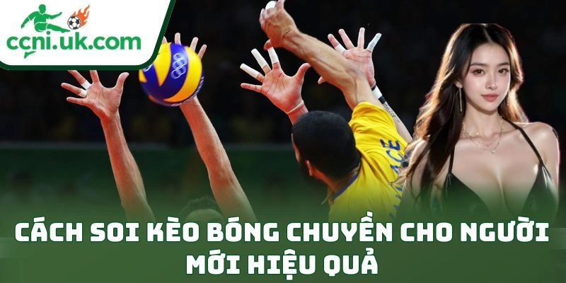 Học Cách Soi Kèo Bóng Chuyền Cho Người Mới Cực Đỉnh 1 Cách soi kèo bóng chuyền cho người mới hiệu quả