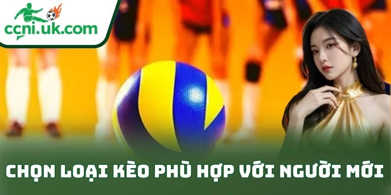 Học Cách Soi Kèo Bóng Chuyền Cho Người Mới Cực Đỉnh 2 Chọn loại kèo phù hợp với người mới