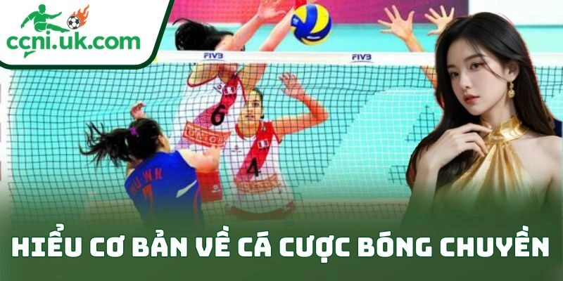 Kinh Nghiệm Cá Cược Bóng Chuyền Online Thắng Cho Bet Thủ 1 Hiểu cơ bản về cá cược bóng chuyền
