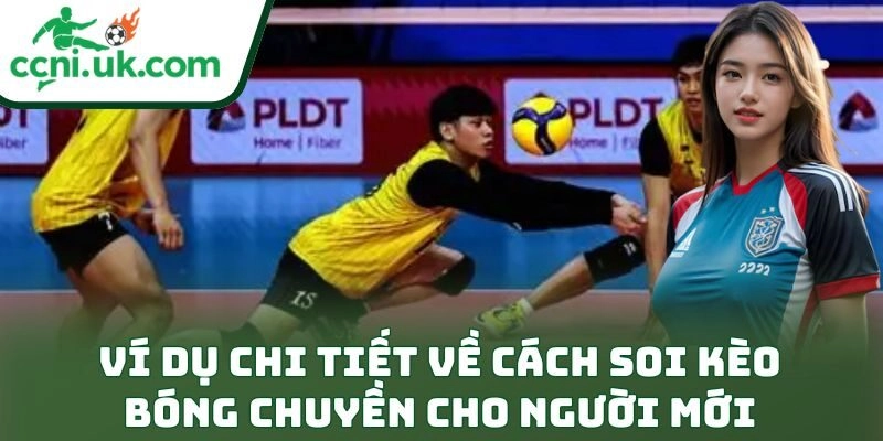 Học Cách Soi Kèo Bóng Chuyền Cho Người Mới Cực Đỉnh 3 Ví dụ chi tiết về cách soi kèo bóng chuyền cho người mới
