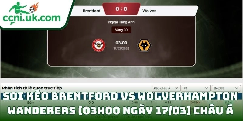 Soi kèo Brentford vs Wolverhampton Wanderers (03h00 ngày 17/03) giải Ngoại hạng Anh 2 Soi kèo Brentford vs Wolverhampton Wanderers (03h00 ngày 17/03) châu Á
