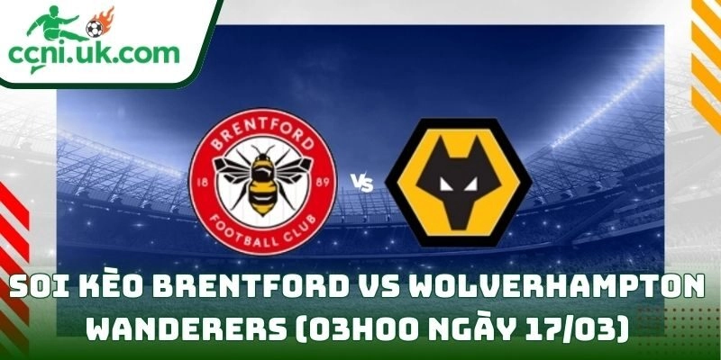 Soi kèo Brentford vs Wolverhampton Wanderers (03h00 ngày 17/03) giải Ngoại hạng Anh 7 Brentford vs Wolverhampton Wanderers