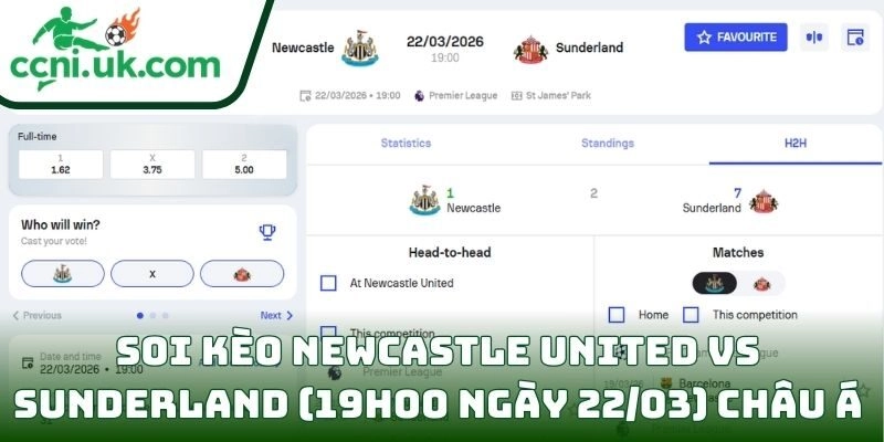Soi kèo Newcastle United vs Sunderland (19h00 ngày 22/03) giải Ngoại hạng Anh 2 Soi kèo Newcastle United vs Sunderland (19h00 ngày 22/03) châu Á