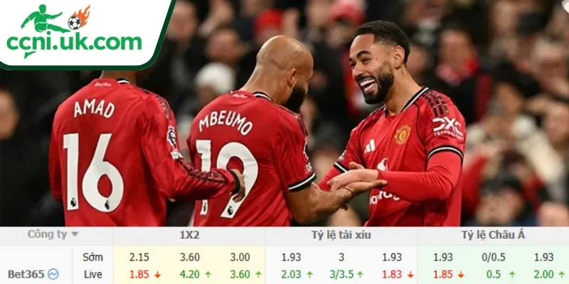 Soi Kèo Brighton vs Man United (22h00 ngày 24/05) Premier League 3 Chi tiết kèo Brighton vs Man United (22h00 ngày 24/05)