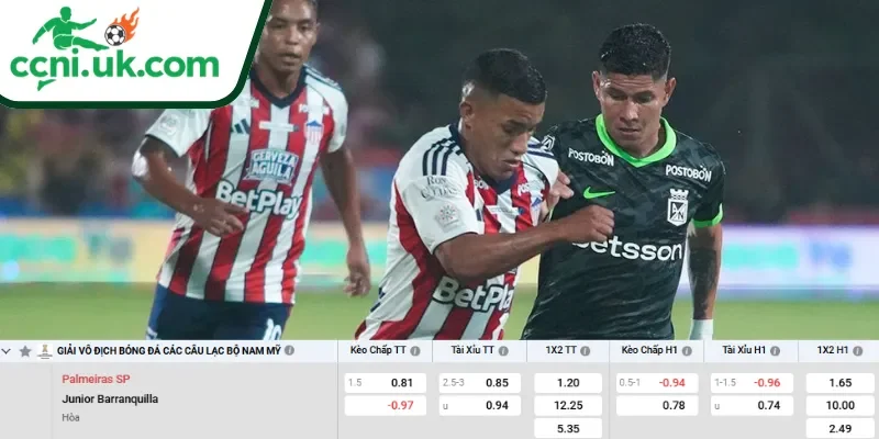 Chi tiết kèo Palmeiras vs Atletico Junior (07h30 ngày 29/05)