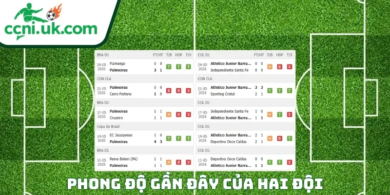 Phong độ của mỗi CLB trước trận đấu Palmeiras vs Atletico Junior