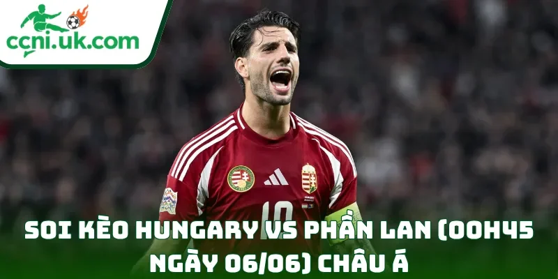 Soi Kèo Hungary vs Phần Lan (00h45 Ngày 06/06) Giao Hữu Quốc Tế 2 Soi kèo Hungary vs Phần Lan (00h45 ngày 06/06) châu Á